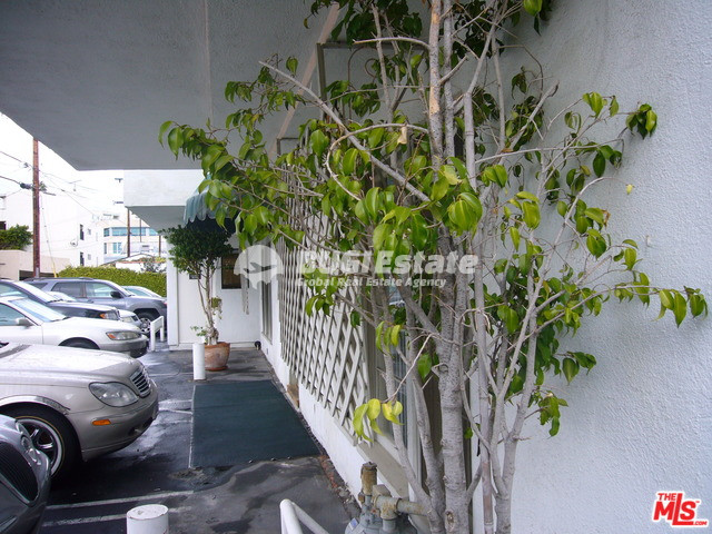 137 S Crescent Dr, Beverly Hills, CA 90212 미국 Beverly Hills 중심에 위치한 원룸 임대! Unit #04 Rent 매물번호 10037 사진 5